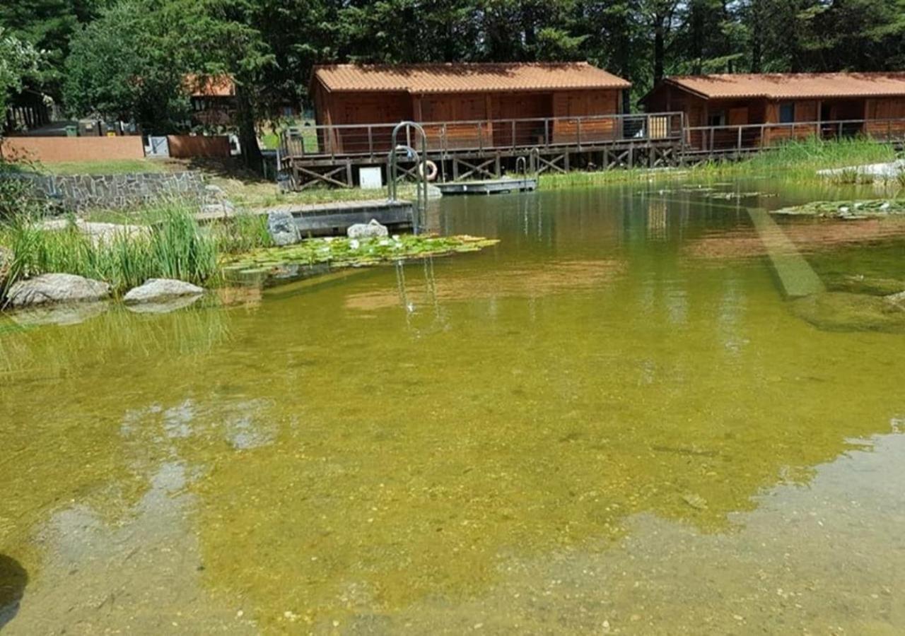 Parque Biologico De Vinhais Exteriör bild