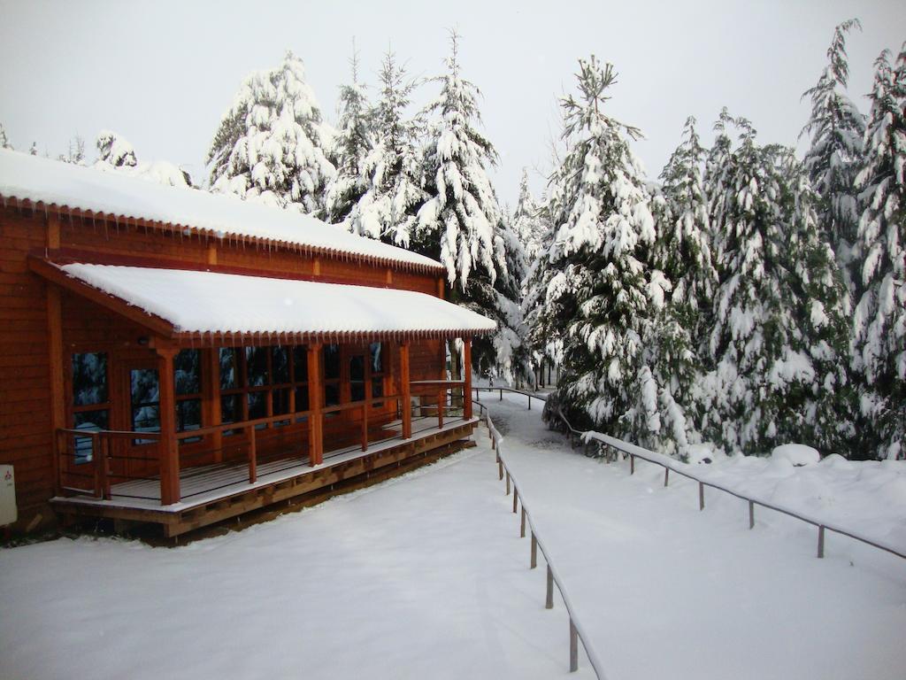 Parque Biologico De Vinhais Exteriör bild