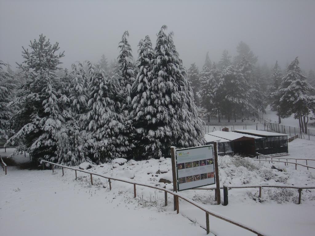 Parque Biologico De Vinhais Exteriör bild