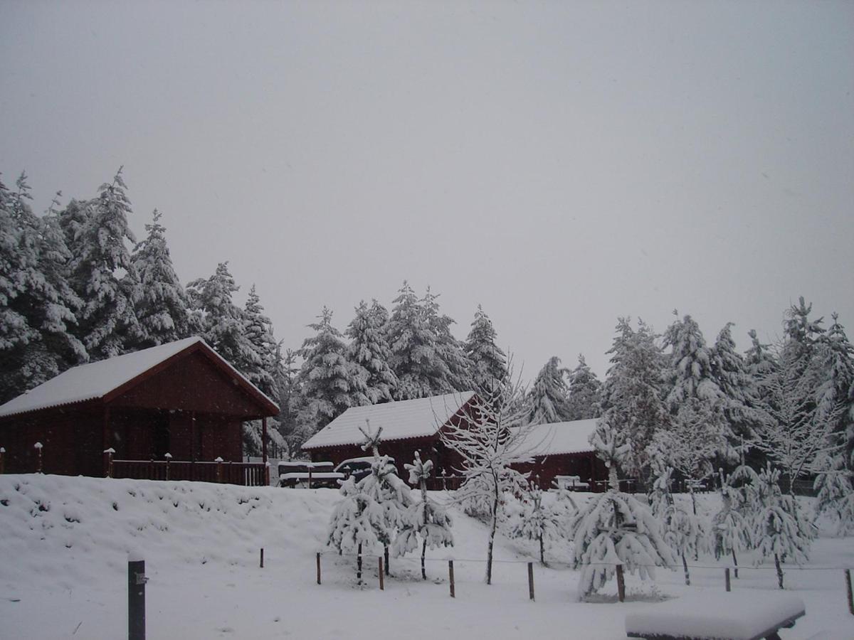 Parque Biologico De Vinhais Exteriör bild